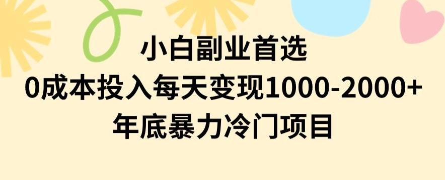 小白副业首选，0成本投入，每天变现1000-2000年底暴力冷门项目【揭秘】-网赚项目平台