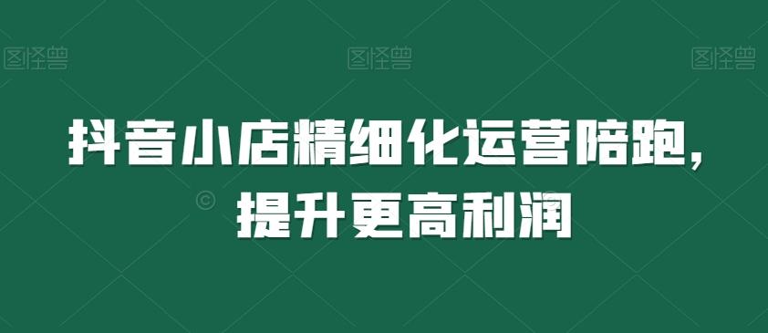 抖音小店精细化运营陪跑，提升更高利润-网赚项目平台