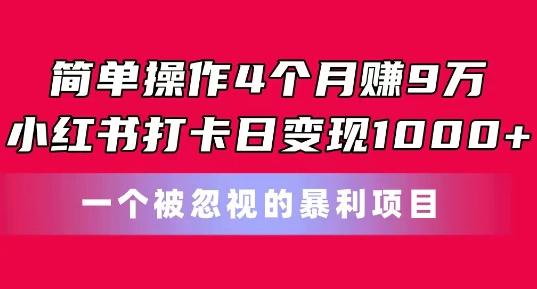 简单操作4个月赚9w，小红书打卡日变现1k，一个被忽视的暴力项目【揭秘】-网赚项目平台