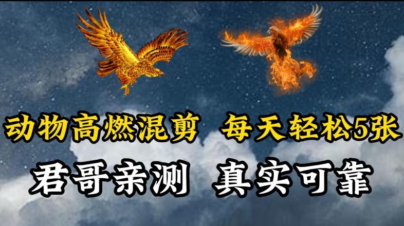 动物超燃混剪，每天轻松5张，剪辑简单大家爱看【揭秘】-网赚项目平台