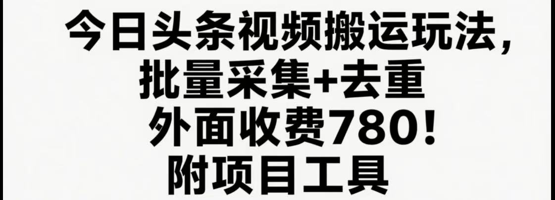 今日头条视频搬运玩法，软件一键去重，轻松日入500+附项目工具-网赚项目平台