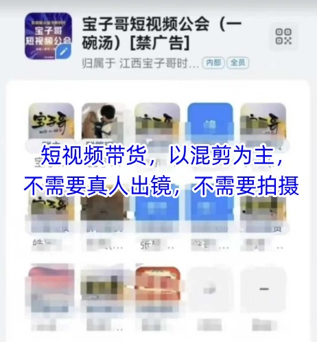 宝子哥头部团队短视频带货，以混剪为主，不需要真人出镜，不需要拍摄【更新】-网赚项目平台