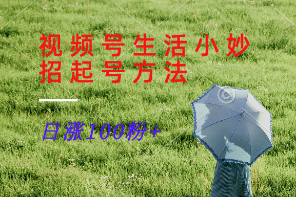 视频号生活小妙招分享赛道， 起号涨粉新方法，日涨100粉-网赚项目平台