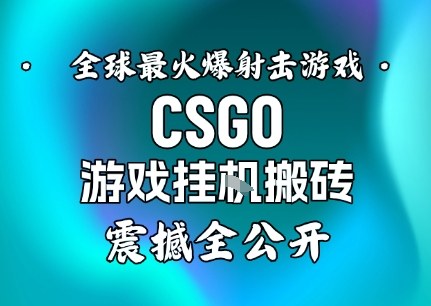 【年底大揭秘】基于全球最火爆的射击CSGO游戏挂G搬砖,日入5张+,震撼公开-网赚项目平台