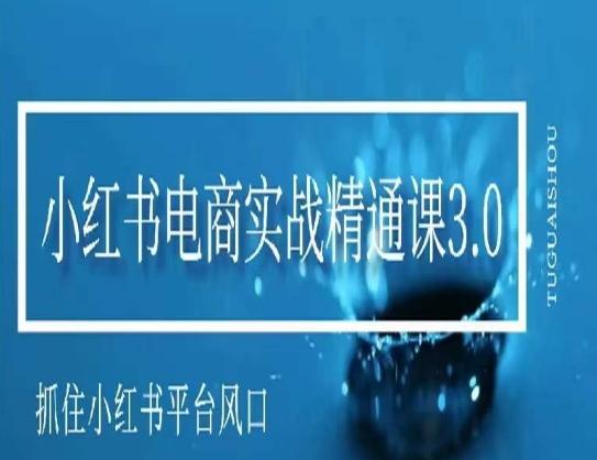 小红书电商实战精通课3.0，抓住小红书平台的风口，不错过有一个赚钱的机会-网赚项目平台