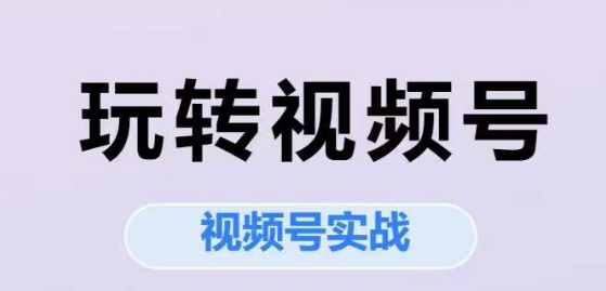 玩转视频号，视频号实战系列课-网赚项目平台
