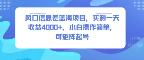 风口信息差蓝海项目，实测一天收益4k+，小白操作简单，可矩阵起号-网赚项目平台