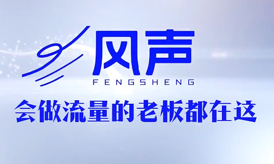 董十一·风声短视频AI获客年度会员-网赚项目平台