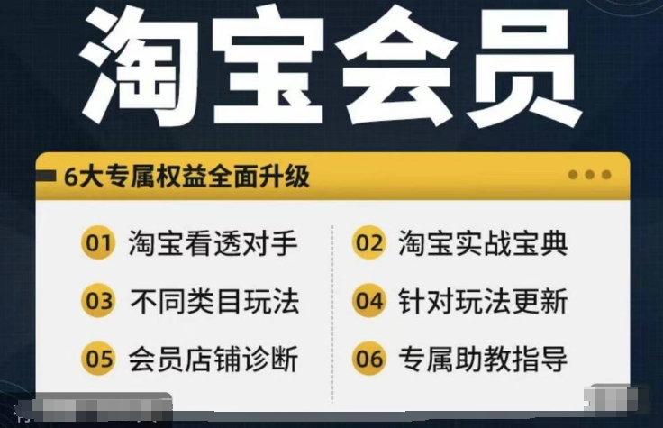淘宝会员【淘宝所有课程，全面分析对手】，初级到高手全系实战宝典-网赚项目平台