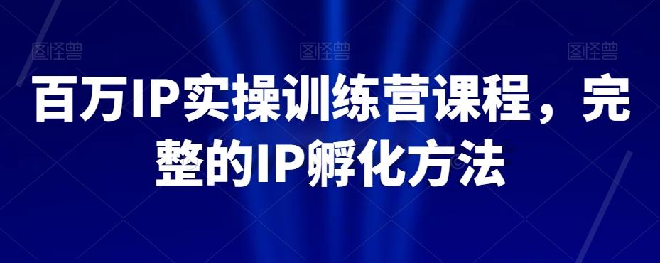 百万IP实操训练营课程，完整的IP孵化方法-网赚项目平台