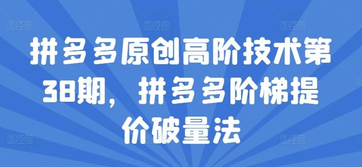拼多多原创高阶技术第38期，拼多多阶梯提价破量法-网赚项目平台