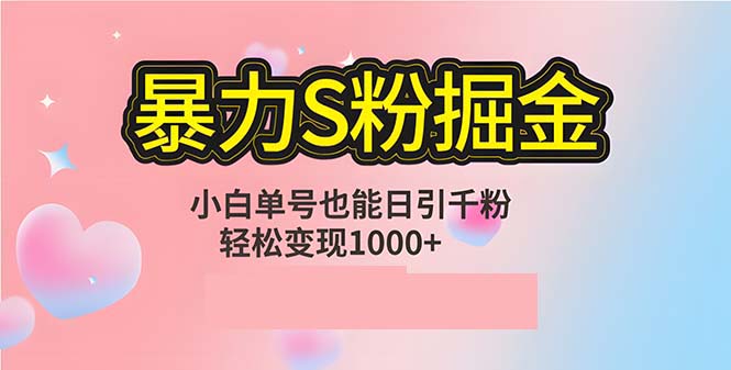 单人单机日引千粉，变现1000+，S粉流量掘金计划攻略-网赚项目平台