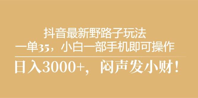 抖音最新野路子玩法，一单35，小白一部手机即可操作，，日入3000+，闷…-网赚项目平台