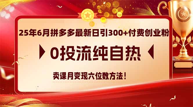 25年6月拼多多最新日引300+付费创业粉，0投流纯自热 卖课月变现六位数方法-网赚项目平台