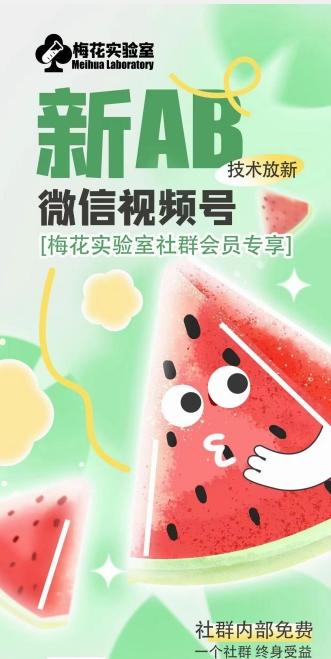 梅花实验室2024年AB技术视频号AB合成破解版-网赚项目平台