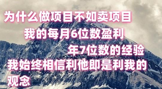 做项目不如卖项目，每月6位数盈利，年7位数经验-网赚项目平台