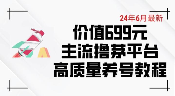 6月最新价值699的主流撸茅台平台精品养号下车攻略【揭秘】-网赚项目平台