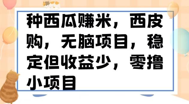 种西瓜赚米，西皮购稳定长久零撸小项目-网赚项目平台