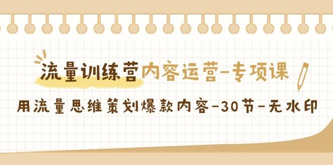 流量训练营之内容运营专项课，用流量思维策划爆款内容(30节课)-网赚项目平台