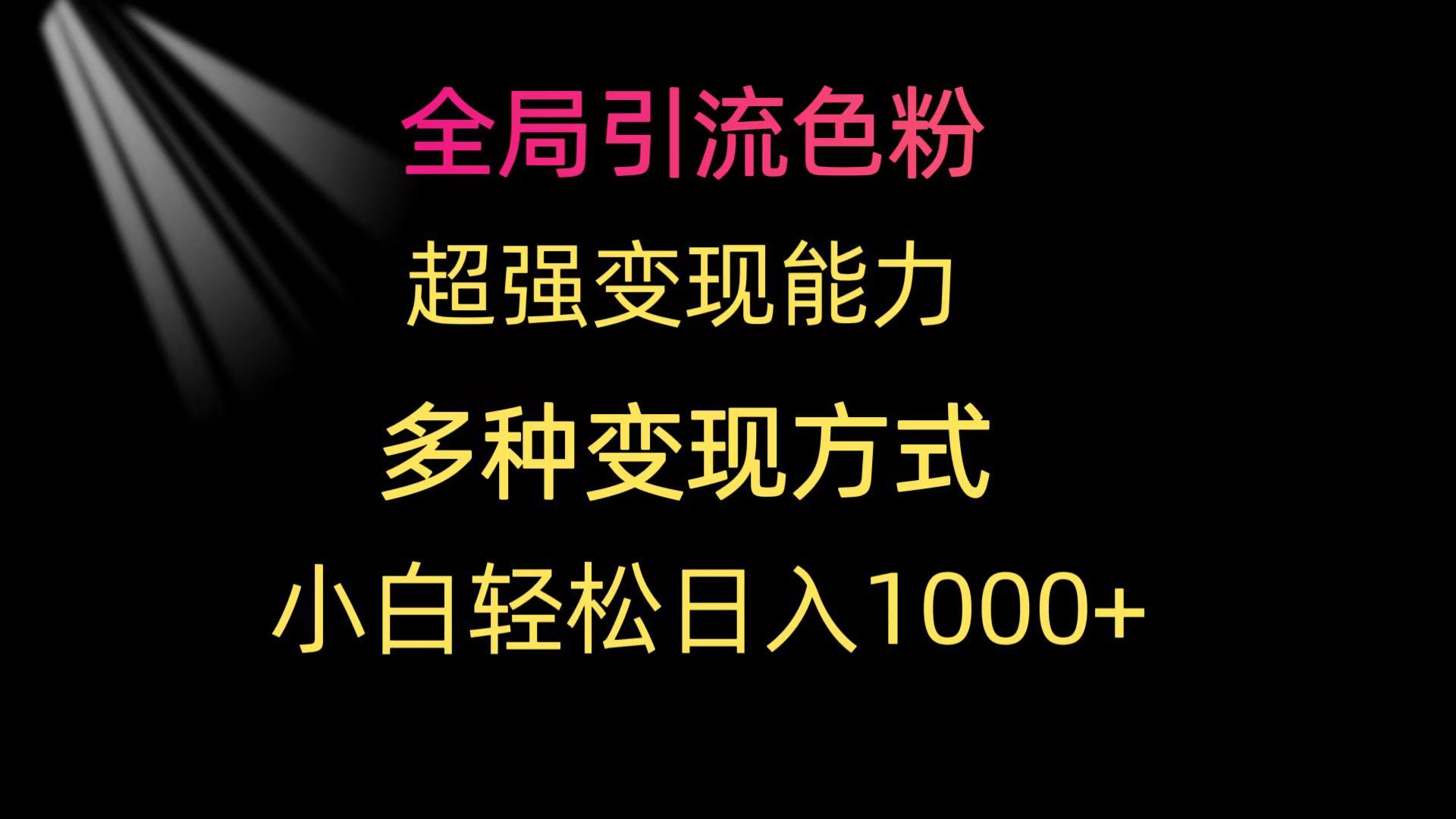 (9680期)全局引流色粉 超强变现能力 多种变现方式 小白轻松日入1000+-网赚项目平台