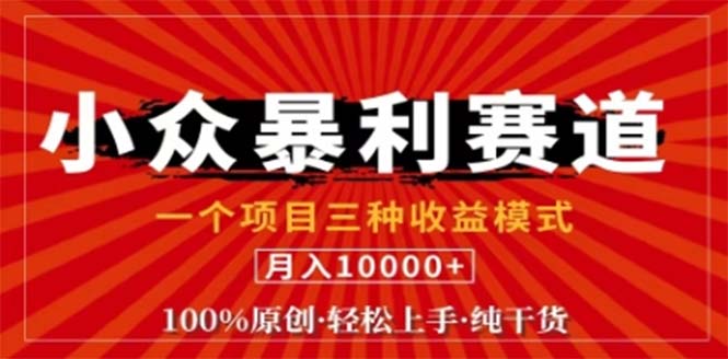 视频号最新爆火赛道，三种可收益模式，0粉新号条条原创条条热门 日入1000+-网赚项目平台