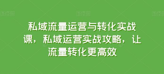私域流量运营与转化实战课，私域运营实战攻略，让流量转化更高效-网赚项目平台