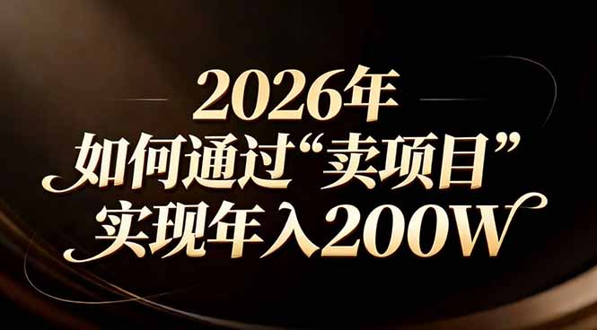站在2026年的十字路口:一个普通人如何通过卖项目实现年入200万-网赚项目平台