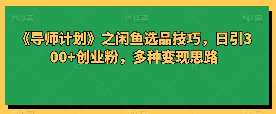 《导师计划》之闲鱼选品技巧，日引300+创业粉，多种变现思路-网赚项目平台