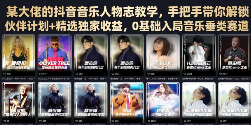 某大佬的抖音音乐人物志教学，手把手带你解锁伙伴计划+精选独家收益，0基础入局音乐垂类赛道-网赚项目平台