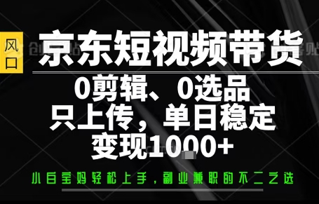 你出账号,我来运营,保底日入1k+,开启躺賺模式【揭秘】-网赚项目平台