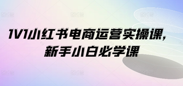 1V1小红书电商运营实操课，新手小白必学课-网赚项目平台