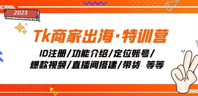 Tk商家出海·特训营：ID注册/功能介绍/定位账号/爆款视频/直播间搭建/带货-网赚项目平台
