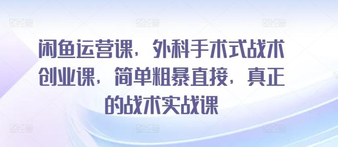 闲鱼运营课，外科手术式战术创业课，简单粗暴直接，真正的战术实战课-网赚项目平台