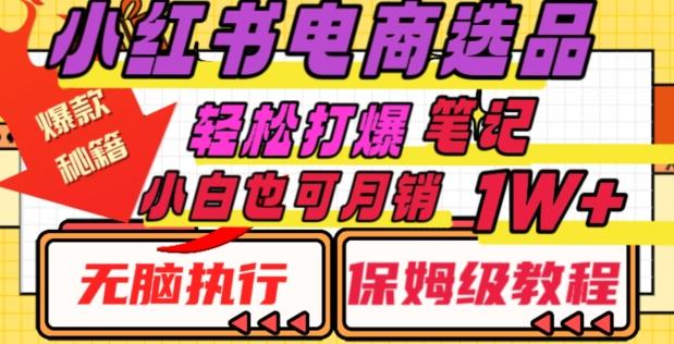 小红书电商爆款选品秘籍，帮你轻松打爆笔记，小白也可轻松月销10000+-网赚项目平台