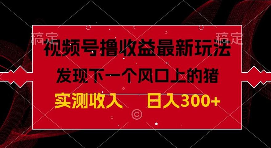视频号分成计划最新玩法，单条作品几分钟制作完成,日入300+，过年前最后的冲刺-网赚项目平台