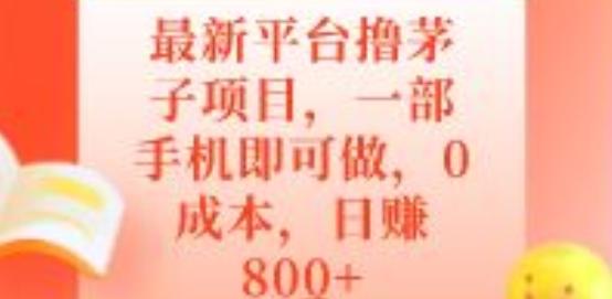 最新平台撸茅子项目，一部手机即可做，0成本，日赚800+-网赚项目平台