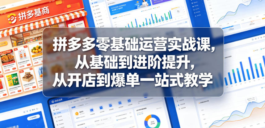 拼多多零基础运营实战课，从基础到进阶提升，从开店到爆单一站式教学-网赚项目平台
