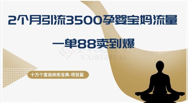 十万个富翁修炼宝典之13.2个月引流3500孕婴宝妈流量，一单88卖到爆-网赚项目平台