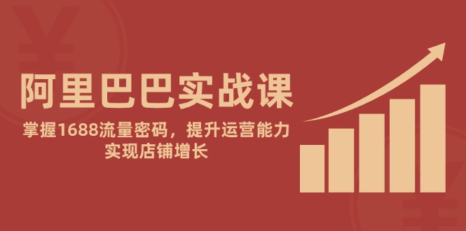 阿里巴巴实战课：掌握1688流量密码，提升运营能力，实现店铺增长-网赚项目平台