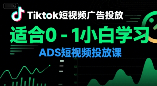 Tiktok短视频广告投放，适合0-1小白学习ADS短视频投放课-网赚项目平台